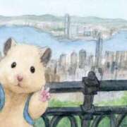 ヒメ日記 2025/09/13 01:20 投稿 体験なな ミセスコレクション