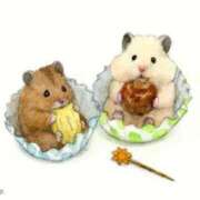 ヒメ日記 2025/09/13 12:24 投稿 体験なな ミセスコレクション