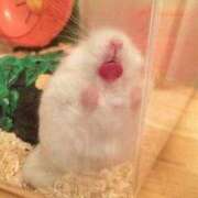 ヒメ日記 2025/09/13 23:13 投稿 体験なな ミセスコレクション