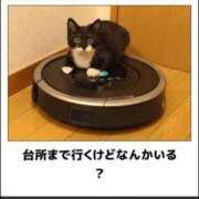 ヒメ日記 2025/09/14 01:53 投稿 体験なな ミセスコレクション