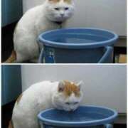 ヒメ日記 2025/09/14 08:13 投稿 体験なな ミセスコレクション