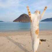 ヒメ日記 2025/09/16 08:13 投稿 体験なな ミセスコレクション