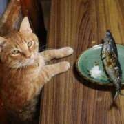 ヒメ日記 2025/09/16 12:08 投稿 体験なな ミセスコレクション