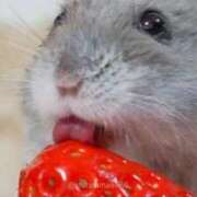 ヒメ日記 2025/09/17 00:03 投稿 体験なな ミセスコレクション