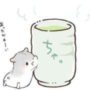 ヒメ日記 2025/09/17 12:14 投稿 体験なな ミセスコレクション