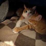 ヒメ日記 2025/09/17 21:14 投稿 体験なな ミセスコレクション