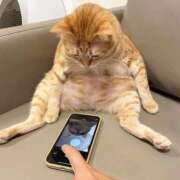 ヒメ日記 2025/09/17 23:13 投稿 体験なな ミセスコレクション