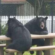 ヒメ日記 2025/09/18 01:43 投稿 体験なな ミセスコレクション