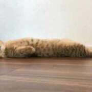 ヒメ日記 2025/09/18 01:48 投稿 体験なな ミセスコレクション