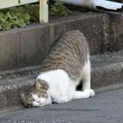 ヒメ日記 2025/09/18 08:13 投稿 体験なな ミセスコレクション