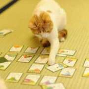 ヒメ日記 2025/09/18 22:53 投稿 体験なな ミセスコレクション