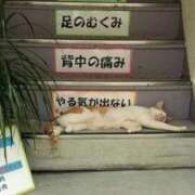 ヒメ日記 2025/09/19 01:53 投稿 体験なな ミセスコレクション