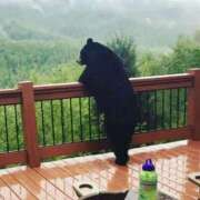 ヒメ日記 2025/09/19 02:21 投稿 体験なな ミセスコレクション