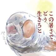 ヒメ日記 2025/09/19 02:33 投稿 体験なな ミセスコレクション