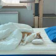 ヒメ日記 2025/09/19 03:03 投稿 体験なな ミセスコレクション