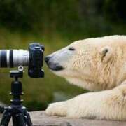 ヒメ日記 2025/09/19 08:13 投稿 体験なな ミセスコレクション