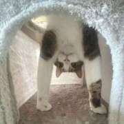 ヒメ日記 2025/09/19 22:53 投稿 体験なな ミセスコレクション