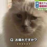 ヒメ日記 2025/09/20 01:43 投稿 体験なな ミセスコレクション