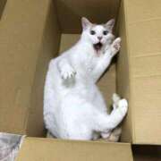 ヒメ日記 2025/09/20 02:03 投稿 体験なな ミセスコレクション