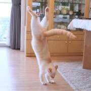 ヒメ日記 2025/09/20 08:13 投稿 体験なな ミセスコレクション