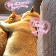 ヒメ日記 2025/09/20 12:44 投稿 体験なな ミセスコレクション