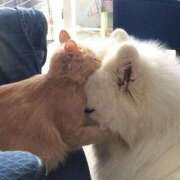 ヒメ日記 2025/09/20 21:33 投稿 体験なな ミセスコレクション