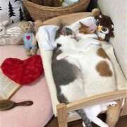 ヒメ日記 2025/09/20 21:43 投稿 体験なな ミセスコレクション