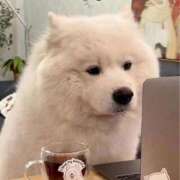 ヒメ日記 2025/09/21 02:03 投稿 体験なな ミセスコレクション