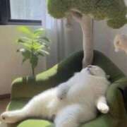 ヒメ日記 2025/09/21 08:13 投稿 体験なな ミセスコレクション