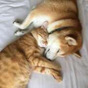 ヒメ日記 2025/09/21 18:13 投稿 体験なな ミセスコレクション