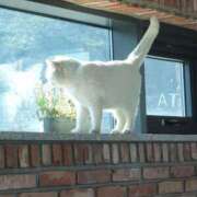 ヒメ日記 2025/09/22 08:13 投稿 体験なな ミセスコレクション