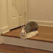 ヒメ日記 2025/09/23 08:03 投稿 体験なな ミセスコレクション