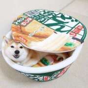 ヒメ日記 2025/09/23 12:09 投稿 体験なな ミセスコレクション