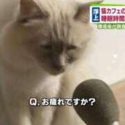 ヒメ日記 2025/09/23 19:53 投稿 体験なな ミセスコレクション