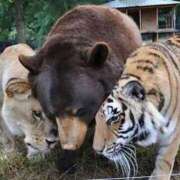 ヒメ日記 2025/09/25 00:33 投稿 体験なな ミセスコレクション