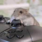 ヒメ日記 2025/09/25 02:33 投稿 体験なな ミセスコレクション