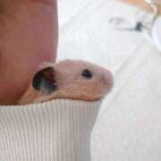 ヒメ日記 2025/09/25 08:03 投稿 体験なな ミセスコレクション