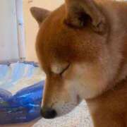 ヒメ日記 2025/09/25 20:13 投稿 体験なな ミセスコレクション