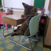 ヒメ日記 2025/09/25 23:54 投稿 体験なな ミセスコレクション