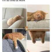 ヒメ日記 2025/09/26 00:03 投稿 体験なな ミセスコレクション