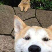 ヒメ日記 2025/09/26 08:11 投稿 体験なな ミセスコレクション