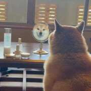 ヒメ日記 2025/09/27 08:03 投稿 体験なな ミセスコレクション