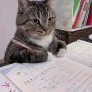 ヒメ日記 2025/09/27 12:08 投稿 体験なな ミセスコレクション