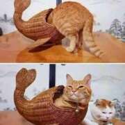 ヒメ日記 2025/09/27 20:13 投稿 体験なな ミセスコレクション