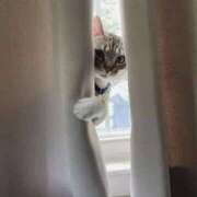 ヒメ日記 2025/09/27 23:48 投稿 体験なな ミセスコレクション