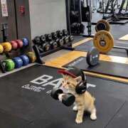 ヒメ日記 2025/09/28 08:23 投稿 体験なな ミセスコレクション