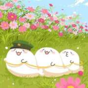 ヒメ日記 2025/09/29 08:20 投稿 体験なな ミセスコレクション