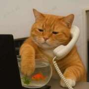 ヒメ日記 2025/09/29 12:05 投稿 体験なな ミセスコレクション