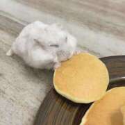 ヒメ日記 2025/09/30 02:23 投稿 体験なな ミセスコレクション