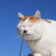 ヒメ日記 2025/09/30 08:13 投稿 体験なな ミセスコレクション